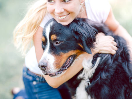 5 maneras de calmar la ansiedad de una mascota